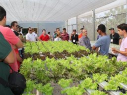 10° Encontro de Hidroponia