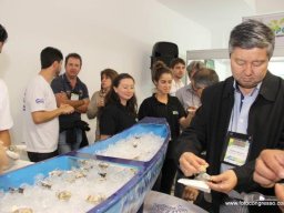 10° Encontro de Hidroponia