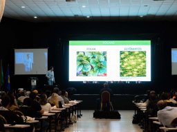 13° Encontro de Hidroponia 